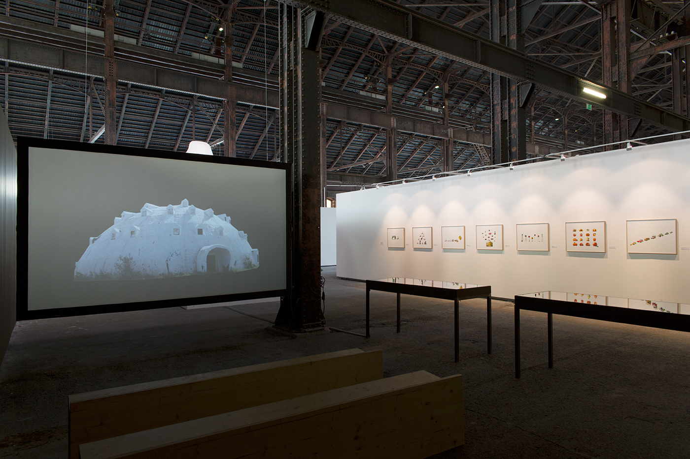 DUCK exhibition - by Olivier Cablat - Rencontres d'Arles 2015